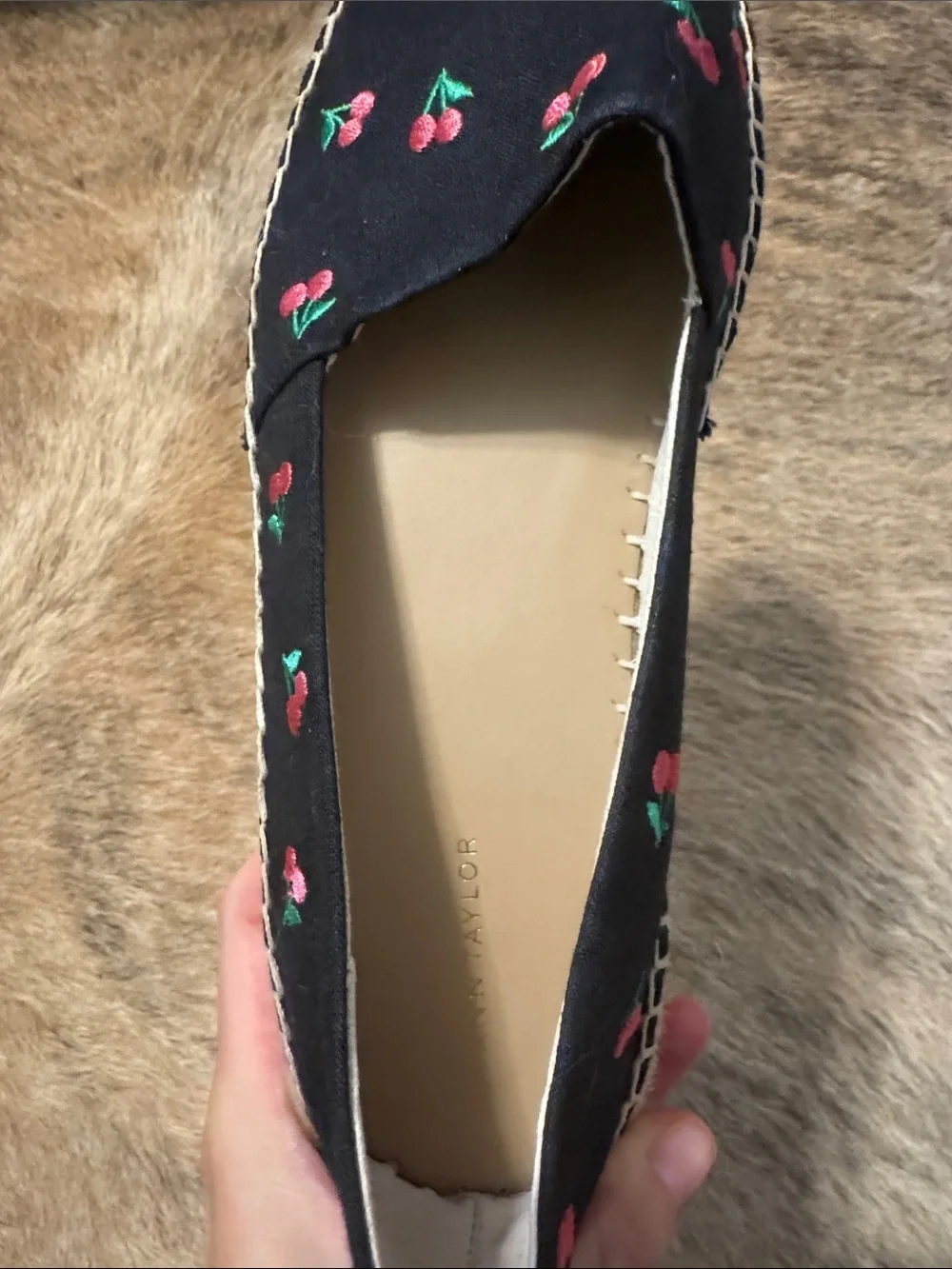 Ann Taylor new without